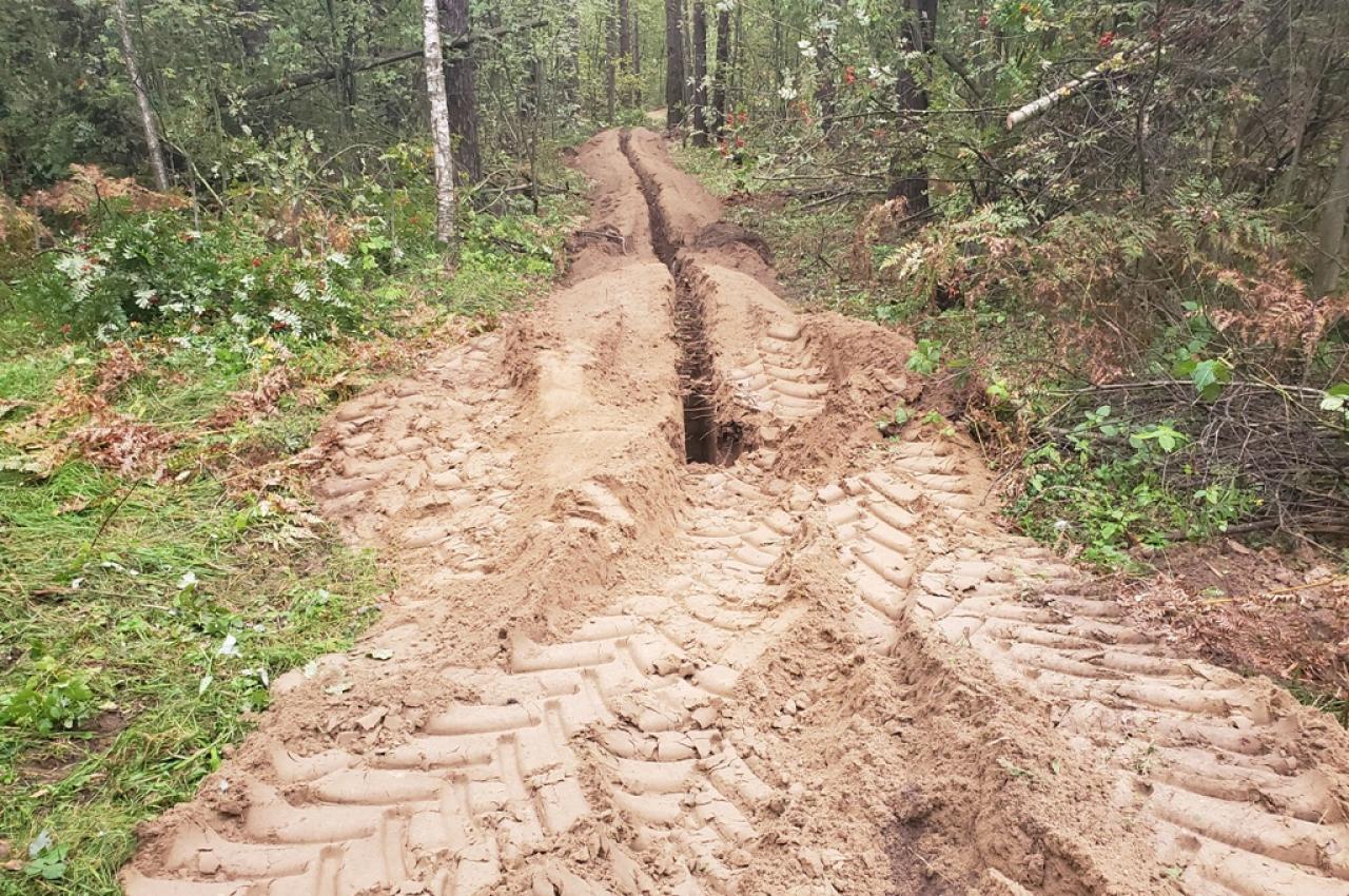 Копали траншею Грунторезом по лесу в Московской области